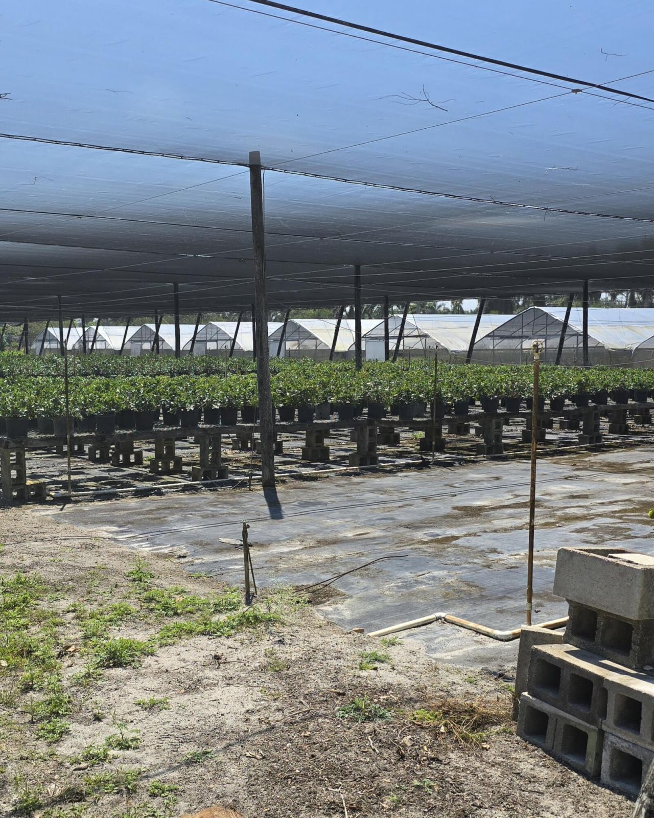 6773 Park Lane W, Lake Worth, FL 33449 Photo