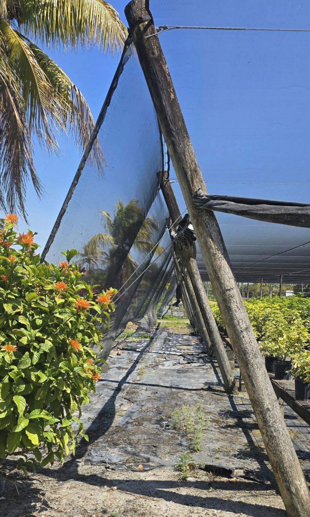 6773 Park Lane W, Lake Worth, FL 33449 Photo