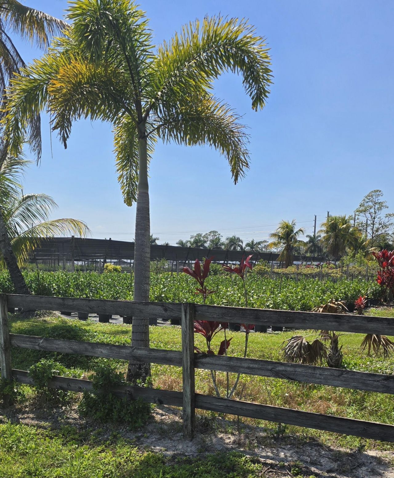 6773 Park Lane W, Lake Worth, FL 33449 Photo