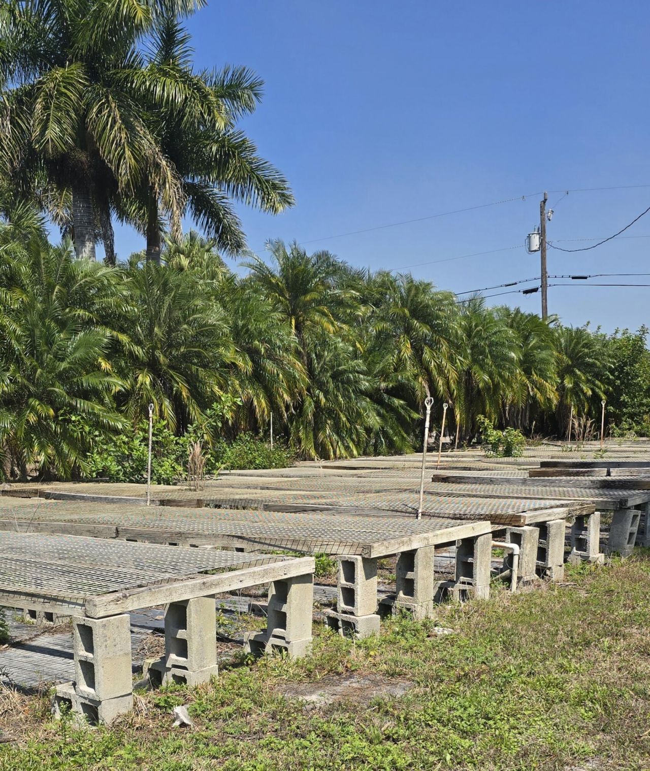 6773 Park Lane W, Lake Worth, FL 33449 Photo