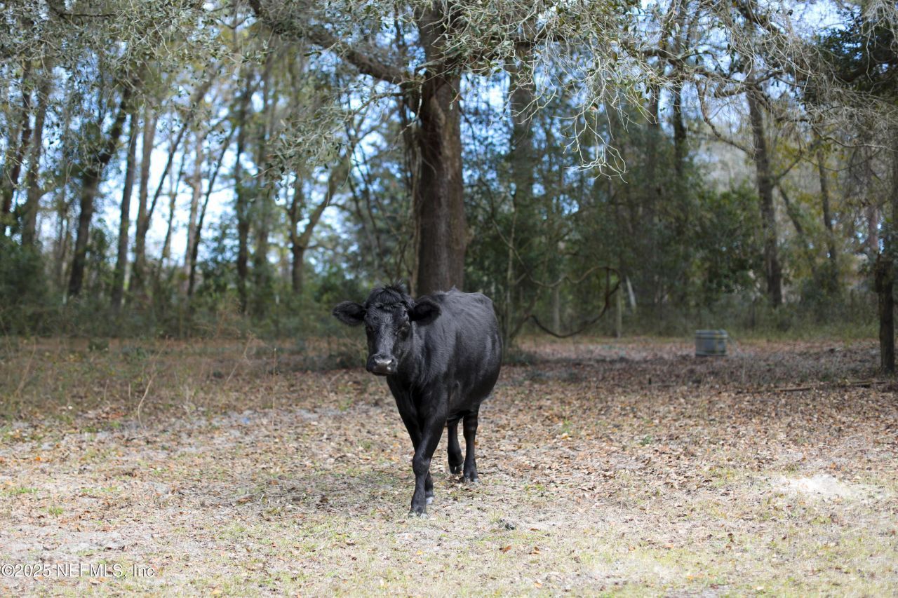 6769 Sandsdale Road, Macclenny, FL 32063 Photo