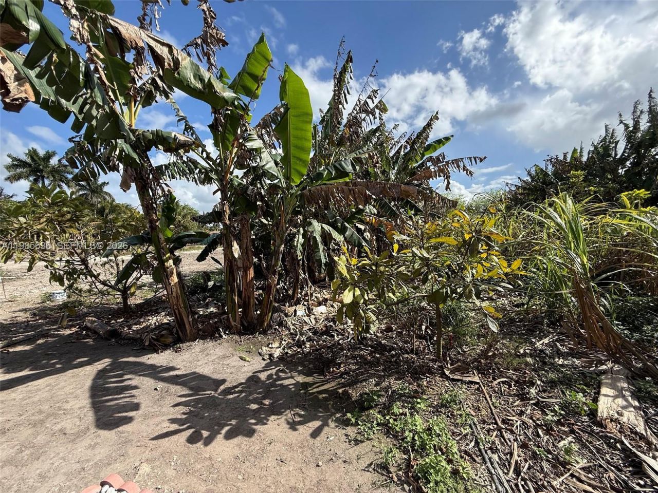 16455 SW 207, Miami, FL 33187 Photo