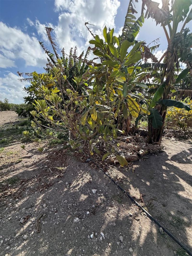 16455 SW 207, Miami, FL 33187 Photo