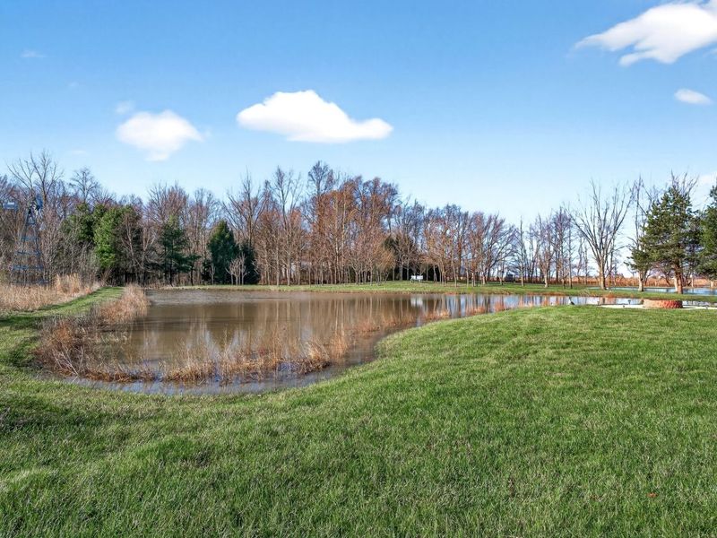 6560 E Snyder Road, Fletcher, OH 45326 Photo 46