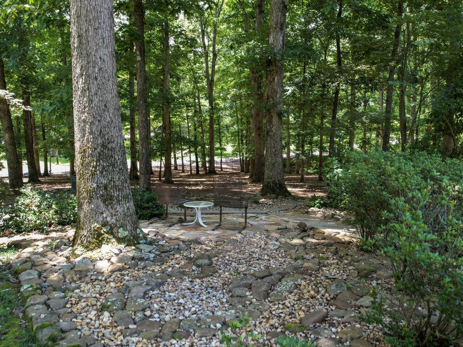 Property Image 95
