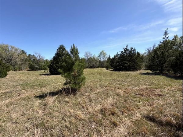 Tract 2 FM 542 , Oakwood, TX 75855
