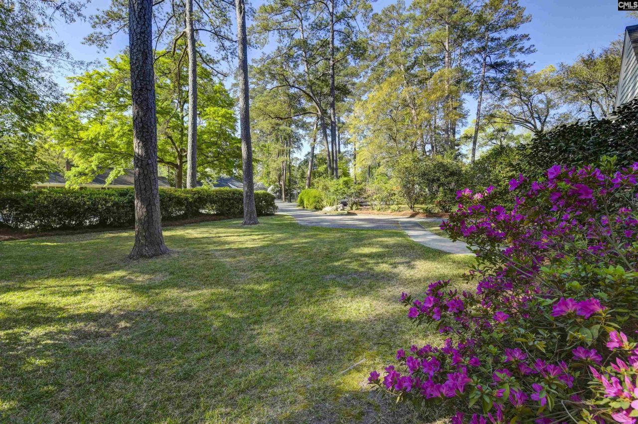 3907 Trenholm Road Photo 52