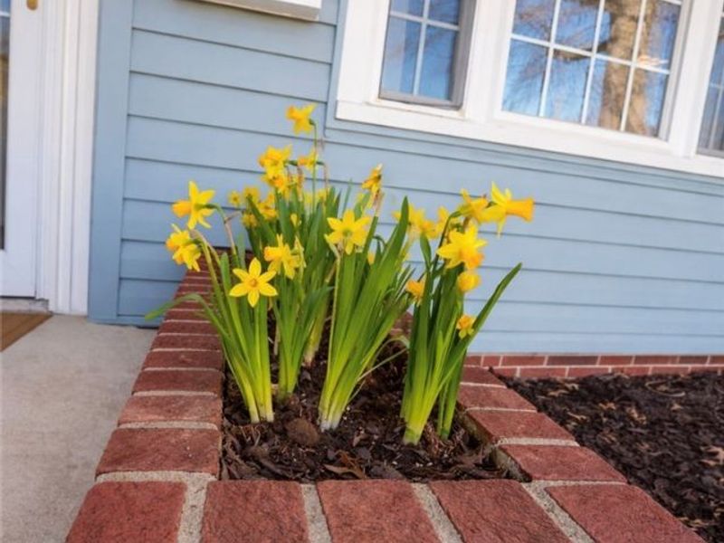 1627 Bayberry Lane, Coshocton, OH 43812 Photo 4