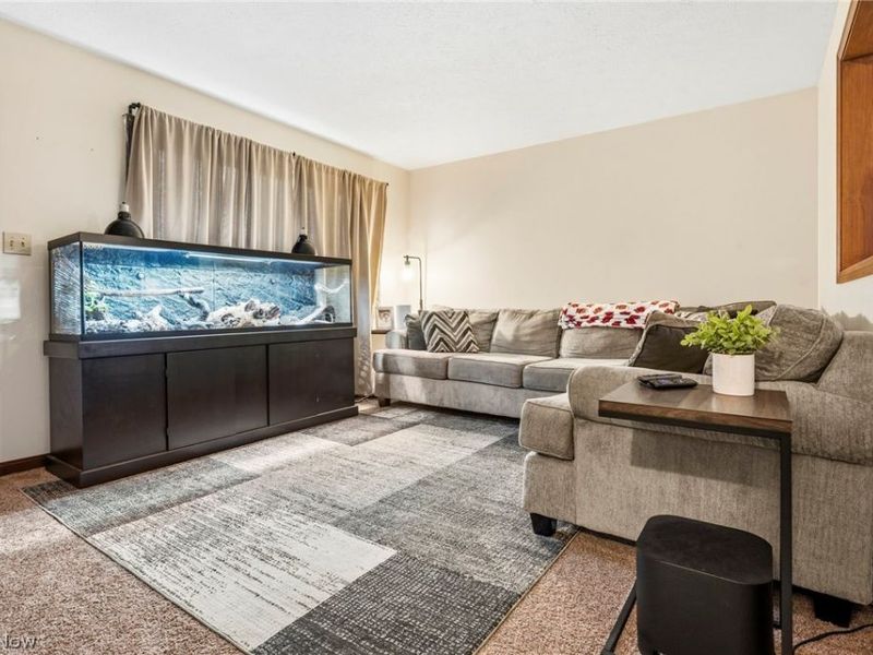 9931 Portage Street NW, Canal Fulton, OH 44614 Photo 11