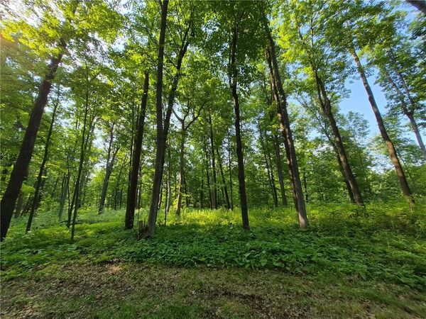 3391 30TH Street, Frederic, WI 54837