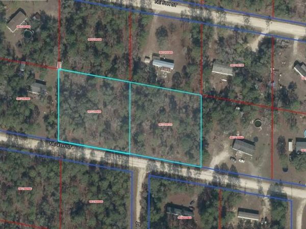 9771-006-00 & 9771-007-00 NE 4TH STREET, WILLISTON, FL 32696