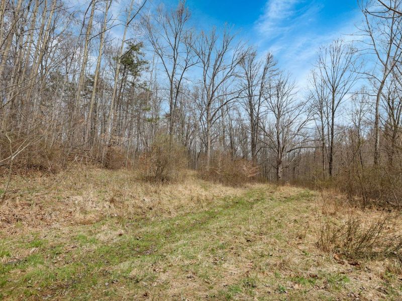 9100 State Route 664 N, Logan, OH 43138 Photo 15