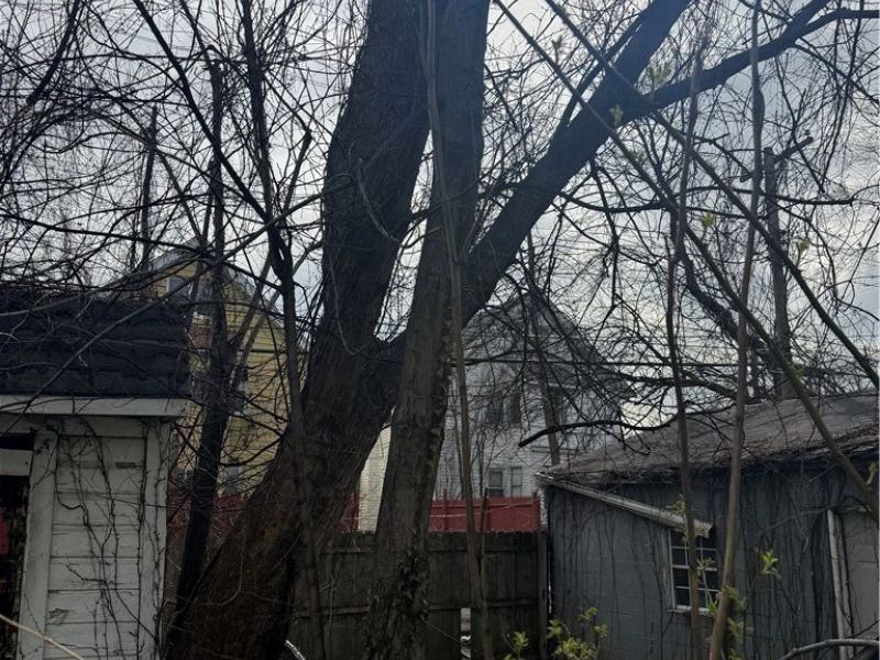 1289 E 135th Street, East Cleveland, OH 44112 Photo 6