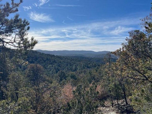 Tierra Vista Trail , Cedar Crest, NM 87008