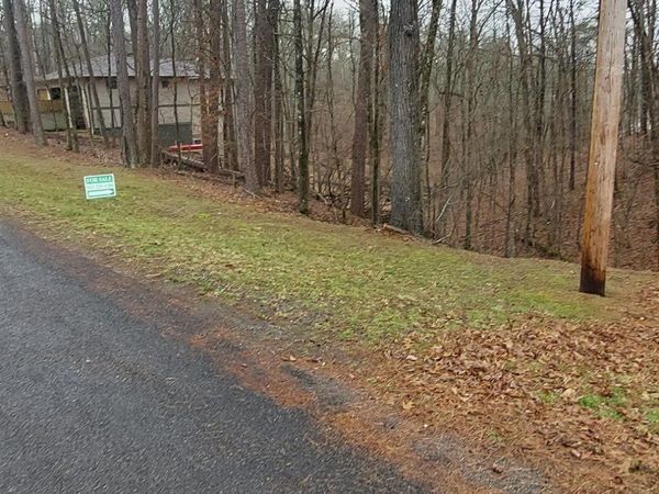 337 Arlington Drive, Hot Springs Village, AR 71913