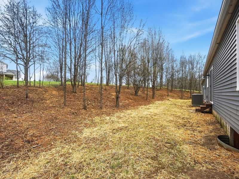 1881 Blayney Road, Sunbury, OH 43074 Photo 47