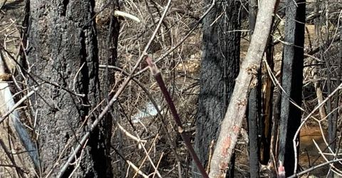 4720 Blaze Trl, Somerset, CA 95684 Photo