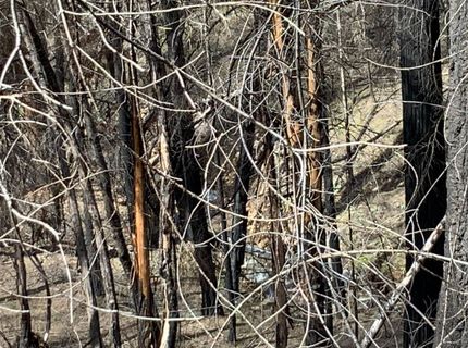 4720 Blaze Trl, Somerset, CA 95684 Photo