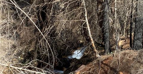 4720 Blaze Trl, Somerset, CA 95684 Photo