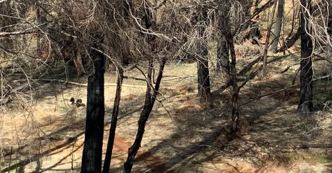 4720 Blaze Trl, Somerset, CA 95684 Photo