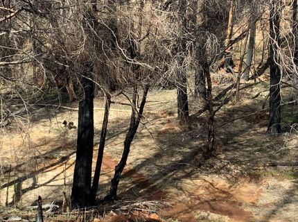 4720 Blaze Trl, Somerset, CA 95684 Photo