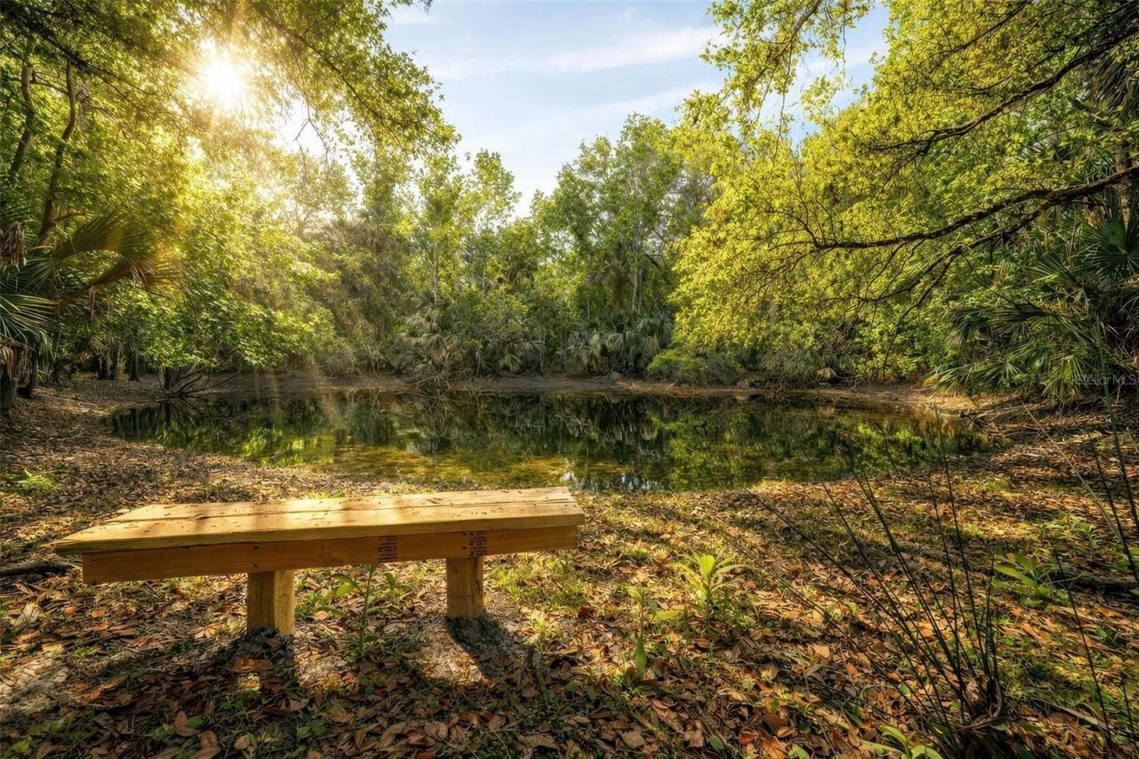 2200 Retreat Road , Geneva, FL 32732 Photo