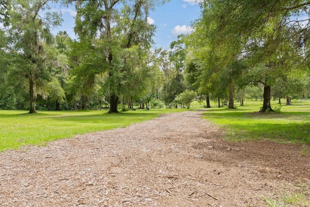 13003 S Betty Point, Floral City, FL 34436 Photo