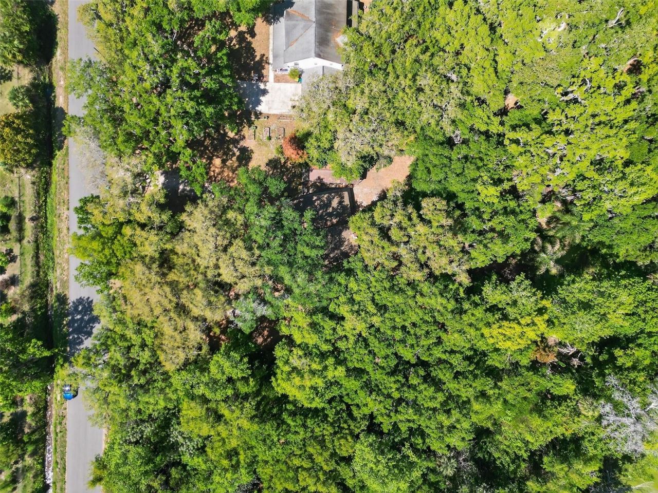 3380 Lionel Road , Mims, FL 32754 Photo