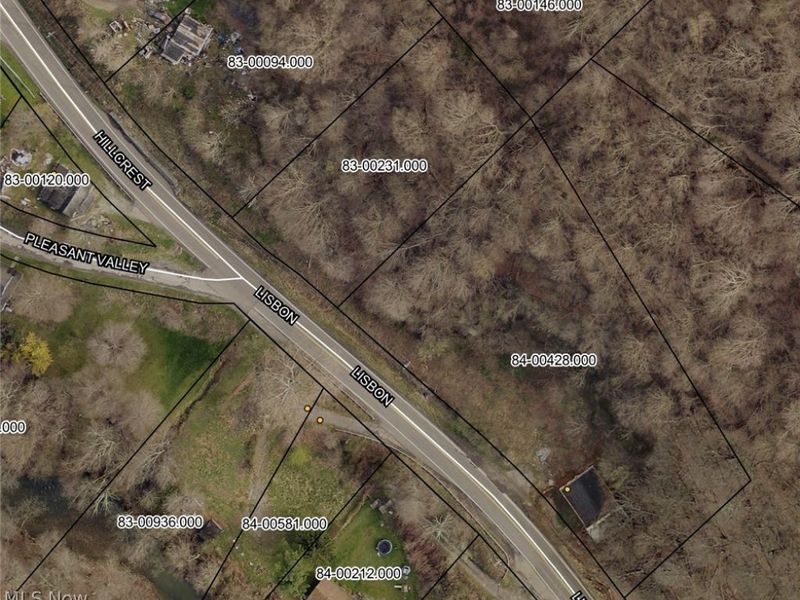 541 SR 45, Wellsville, OH 43968 Photo 1