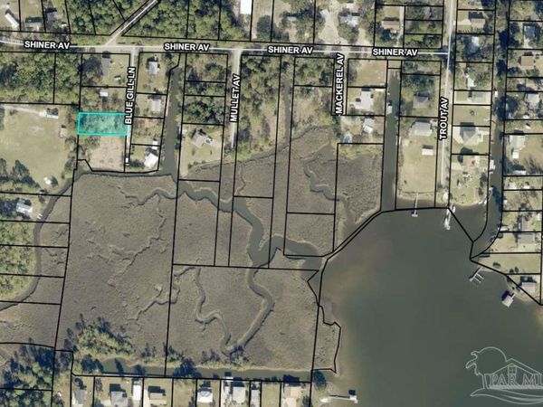 0000 Blue Gill Ln, Milton, FL 32583