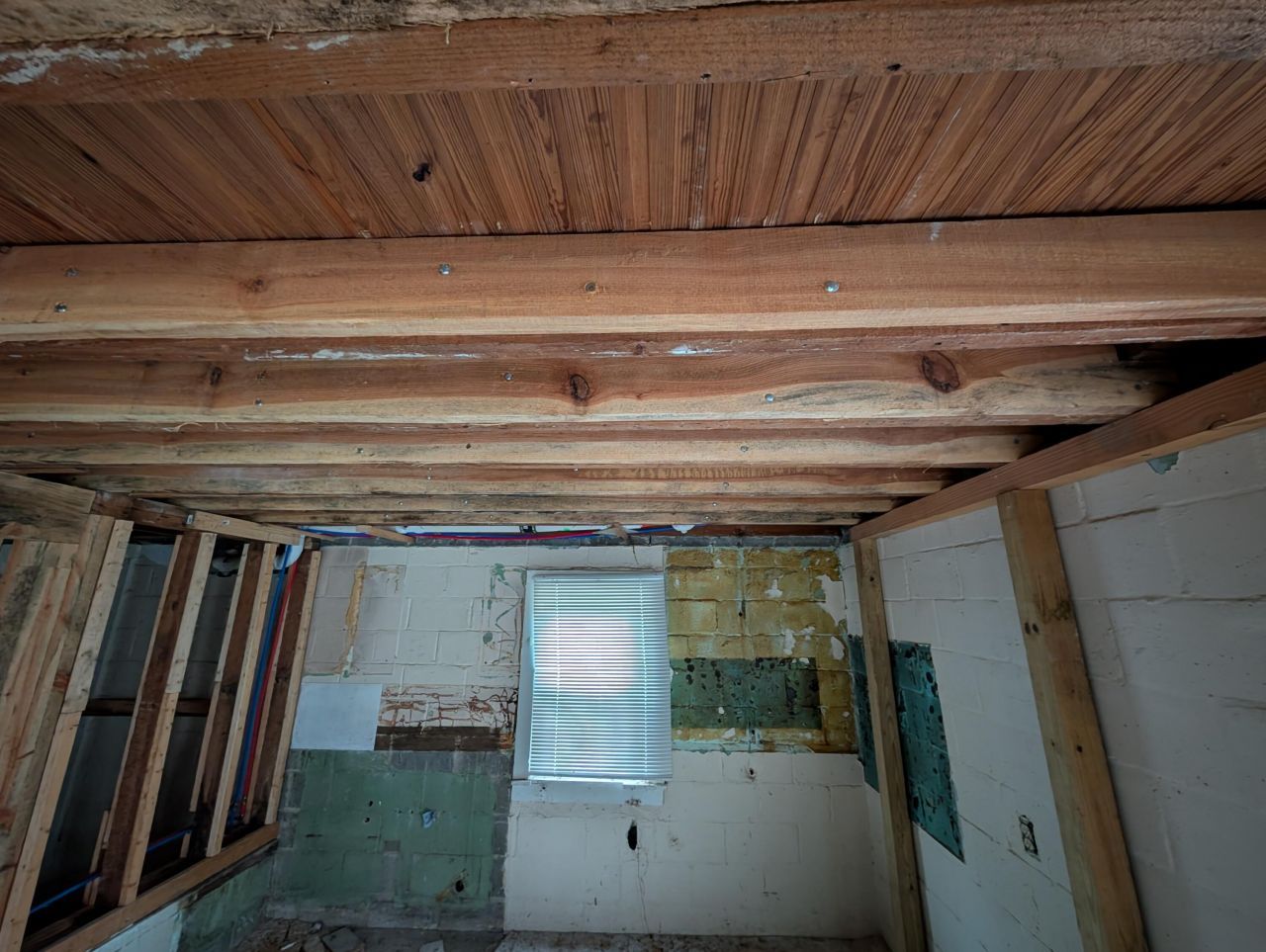 207 Raysor Street Photo 6