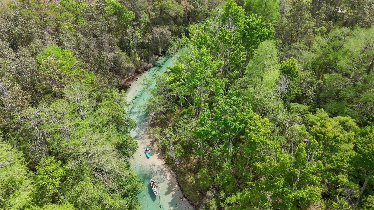 6151 New Osprey Point, Weeki Wachee, FL 34607 Photo