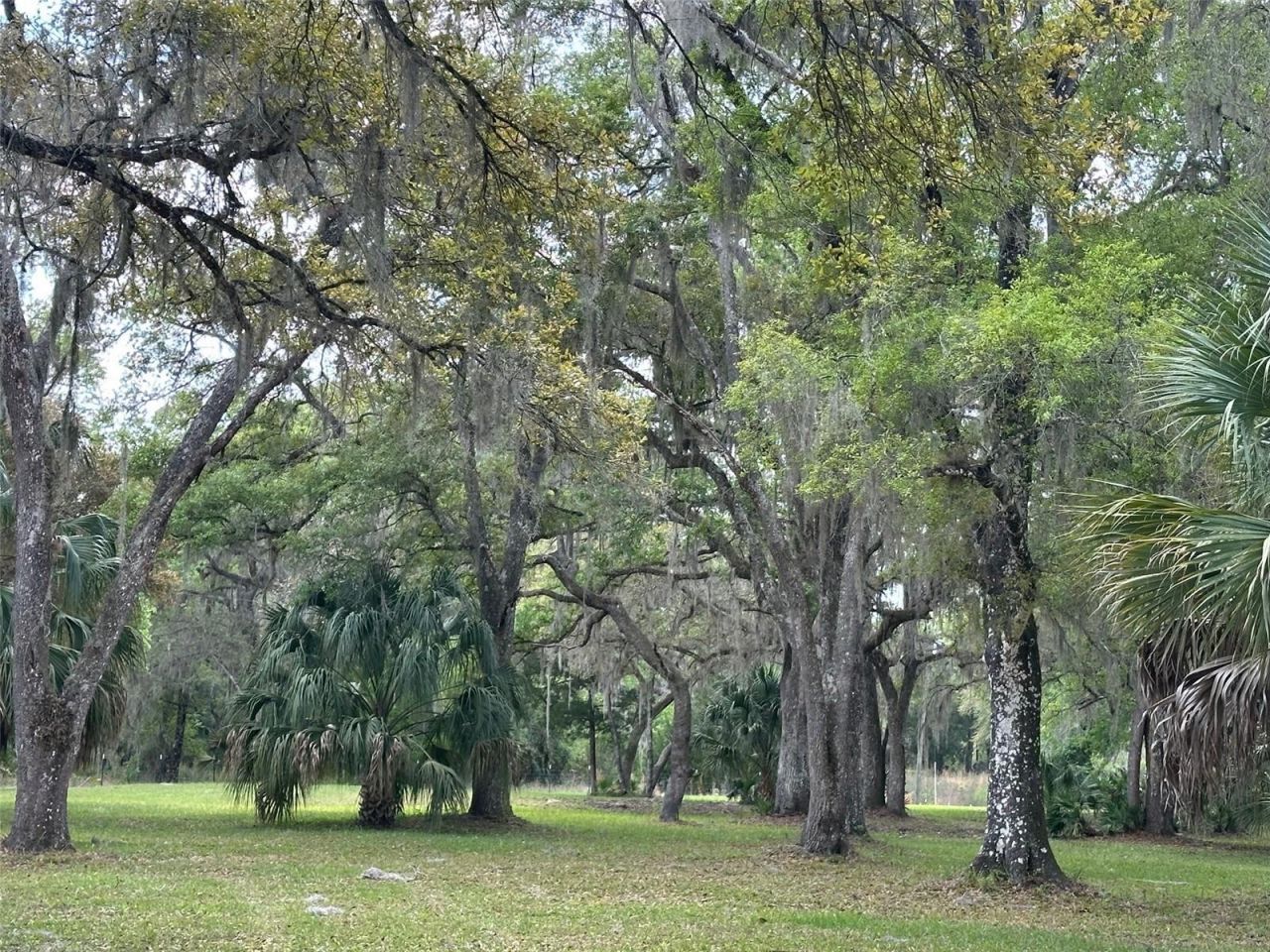 12501 SW Highway 200, Dunnellon, FL 34432 Photo