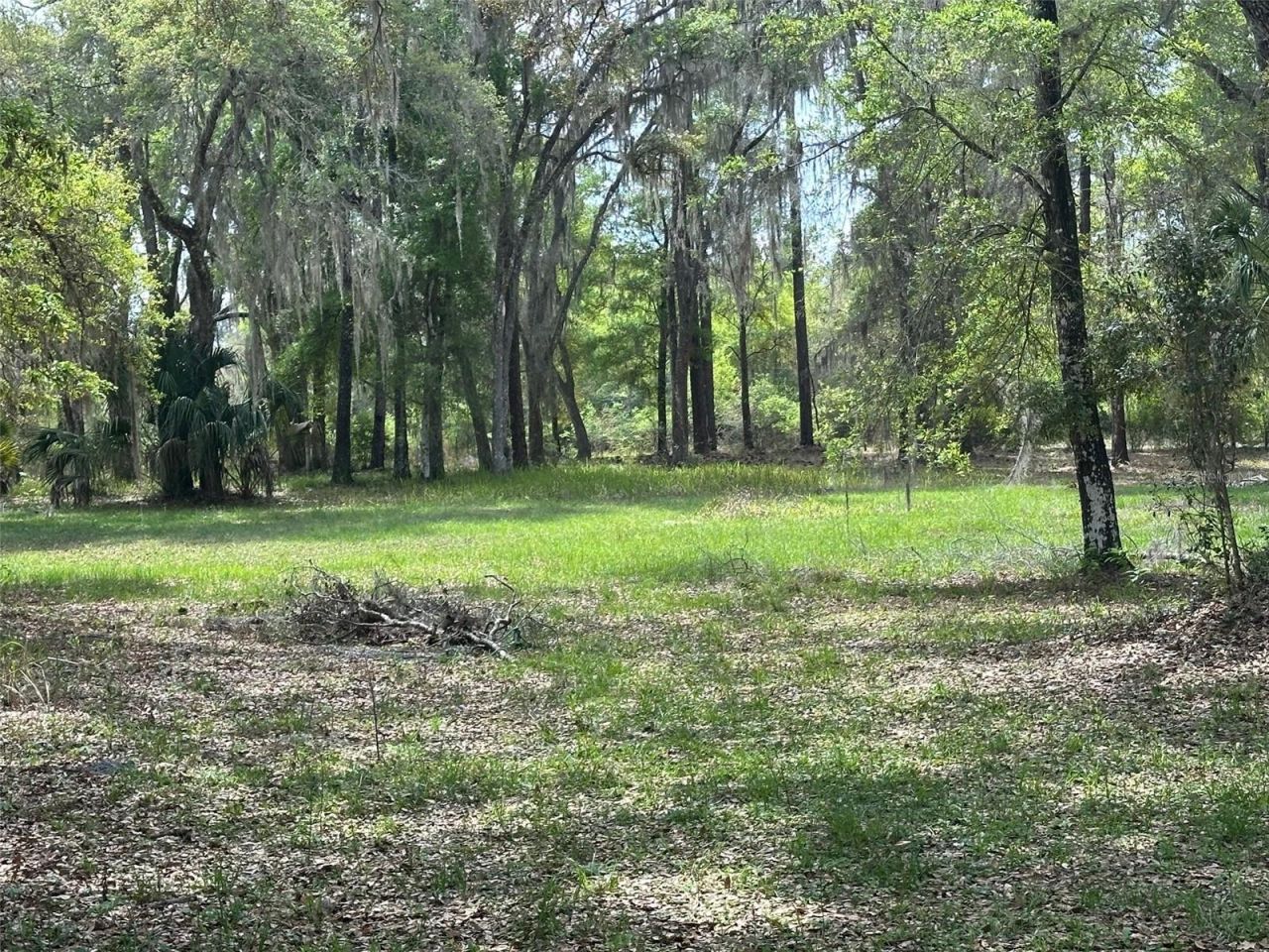 12501 SW Highway 200, Dunnellon, FL 34432 Photo
