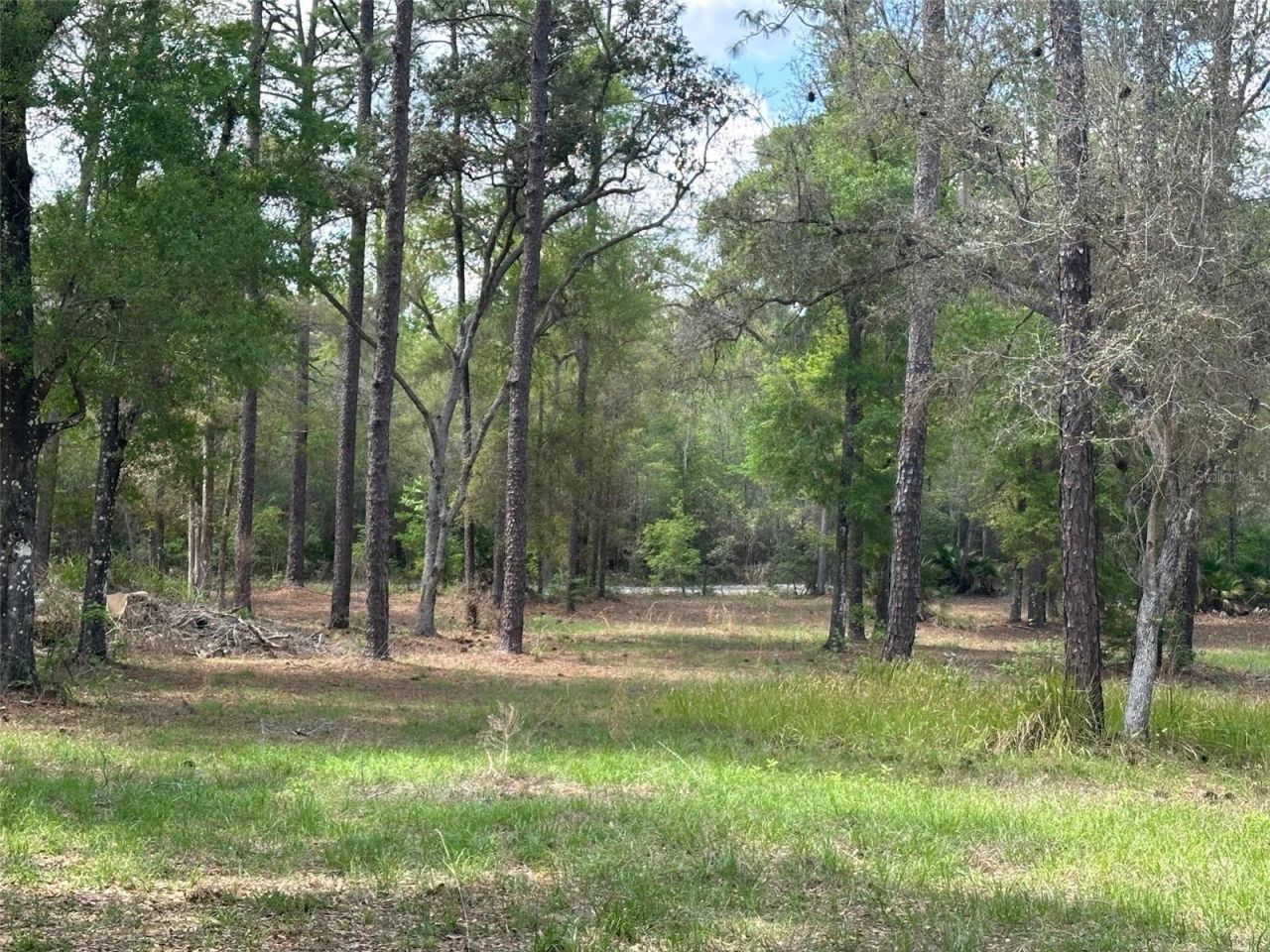 12501 SW Highway 200, Dunnellon, FL 34432 Photo
