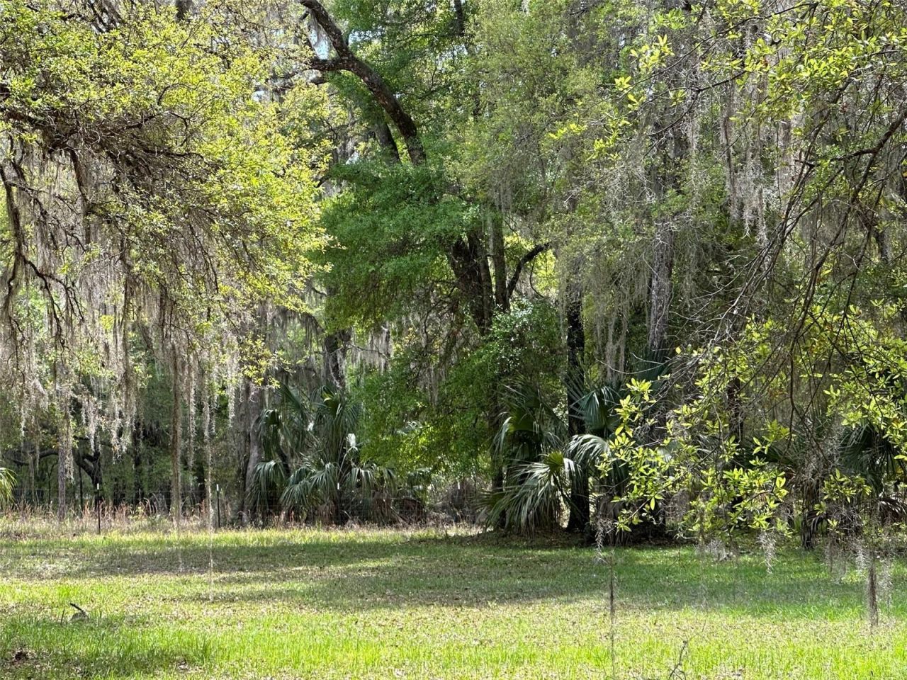 12501 SW Highway 200, Dunnellon, FL 34432 Photo