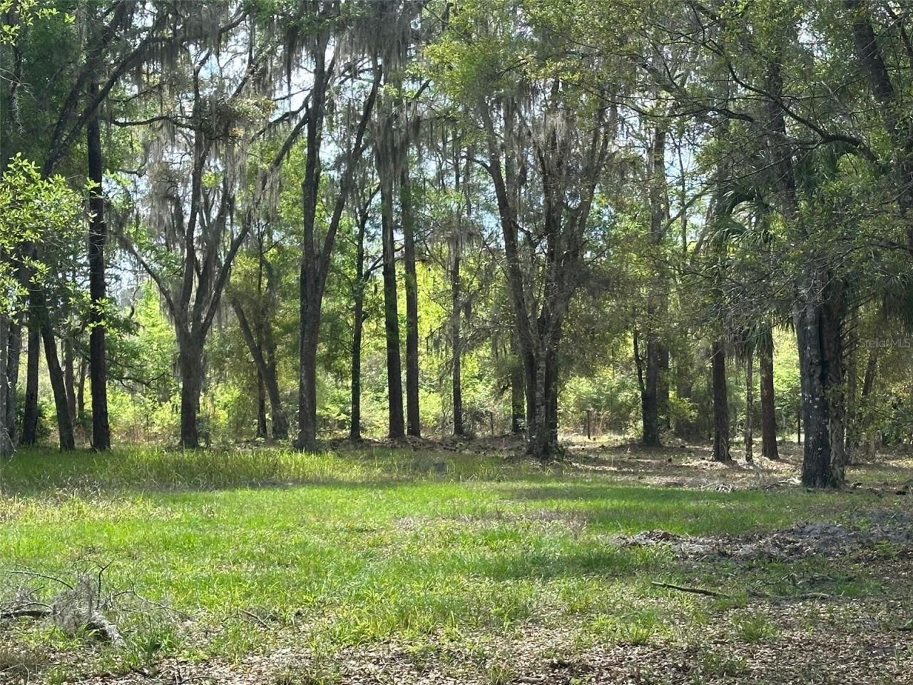 12501 SW Highway 200, Dunnellon, FL 34432 Photo