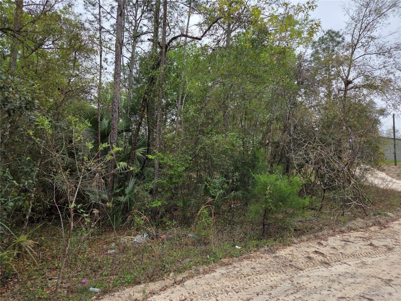0000 NE 138th Terrace, Williston, FL 32696 Photo