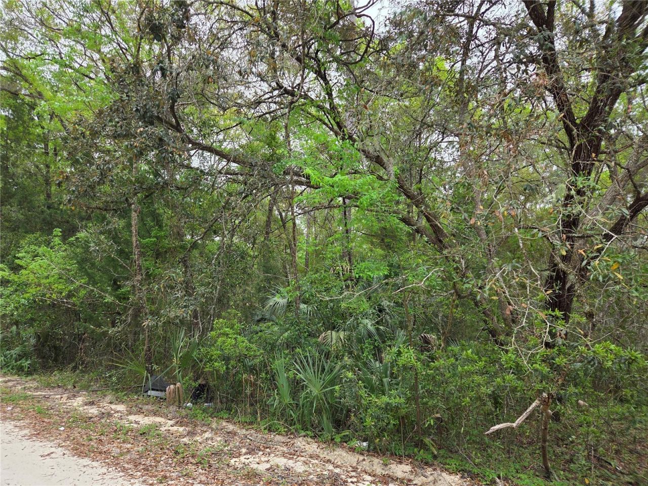 0000 NE 138th Terrace, Williston, FL 32696 Photo