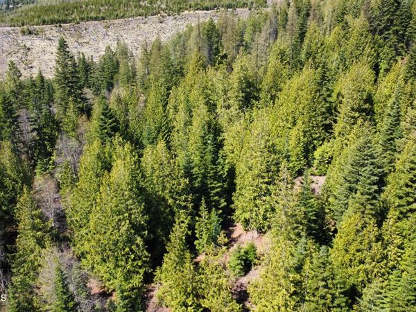 NKA Alder Creek, St. Maries, ID 83861