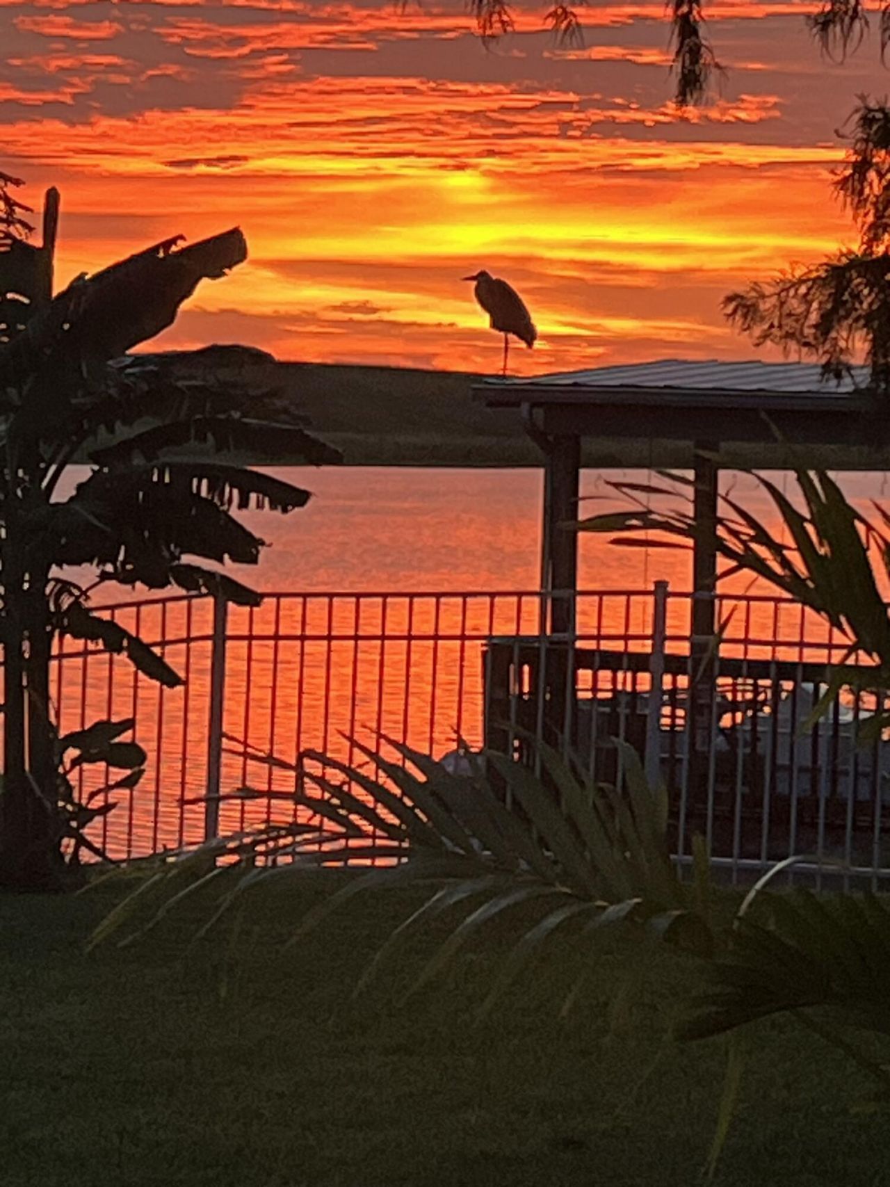 7902 SE 95th Trail, Okeechobee, FL 34974 Photo