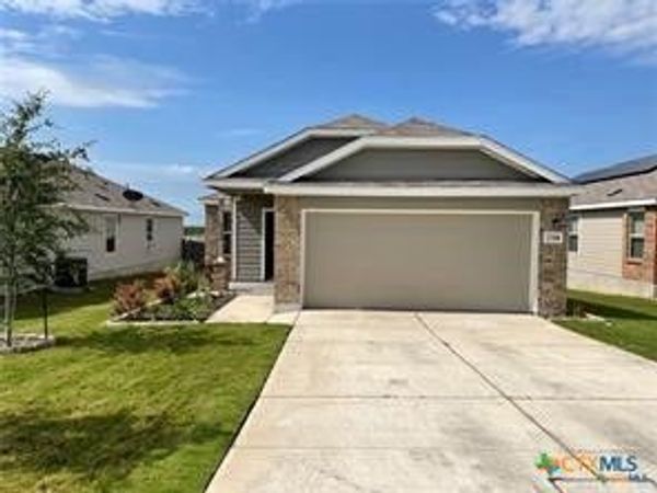 2348 Arctic Warbler , New Braunfels, TX 78130