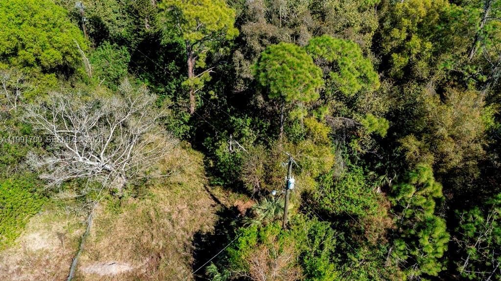 850 G Rd, La Belle, FL 33935 Photo