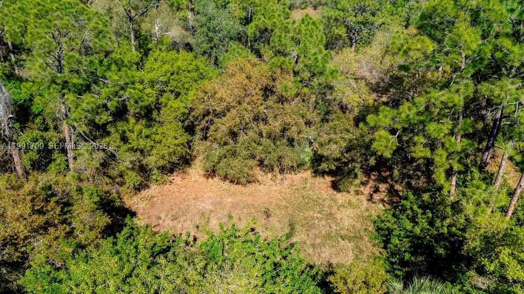 850 G Rd, La Belle, FL 33935 Photo