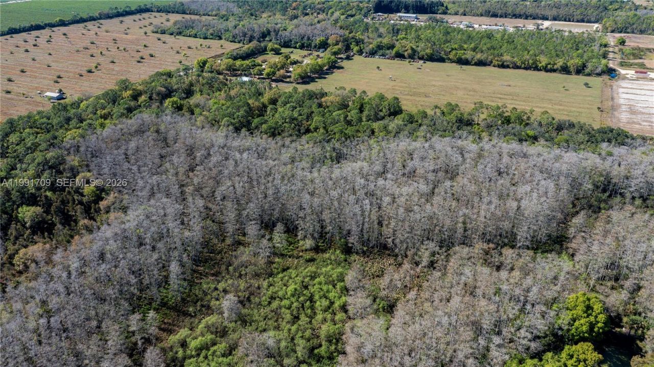 850 G Rd, La Belle, FL 33935 Photo