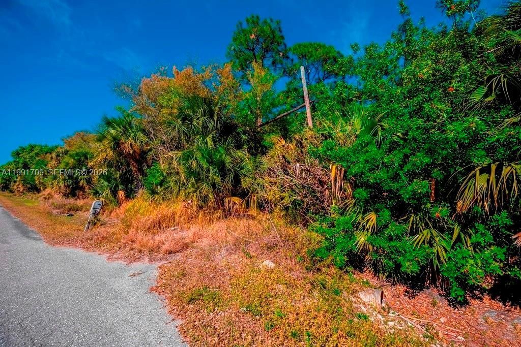 850 G Rd, La Belle, FL 33935 Photo