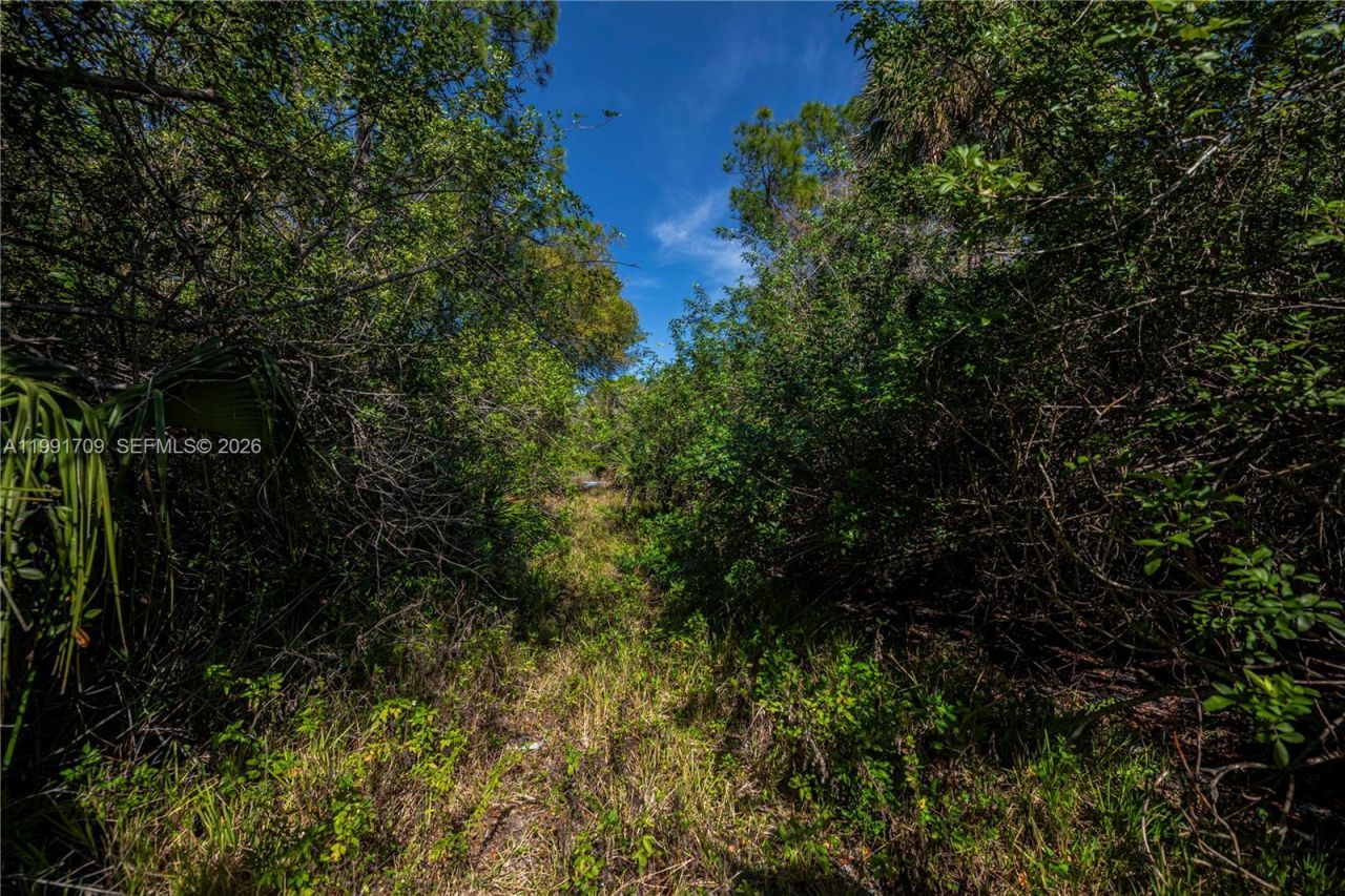850 G Rd, La Belle, FL 33935 Photo