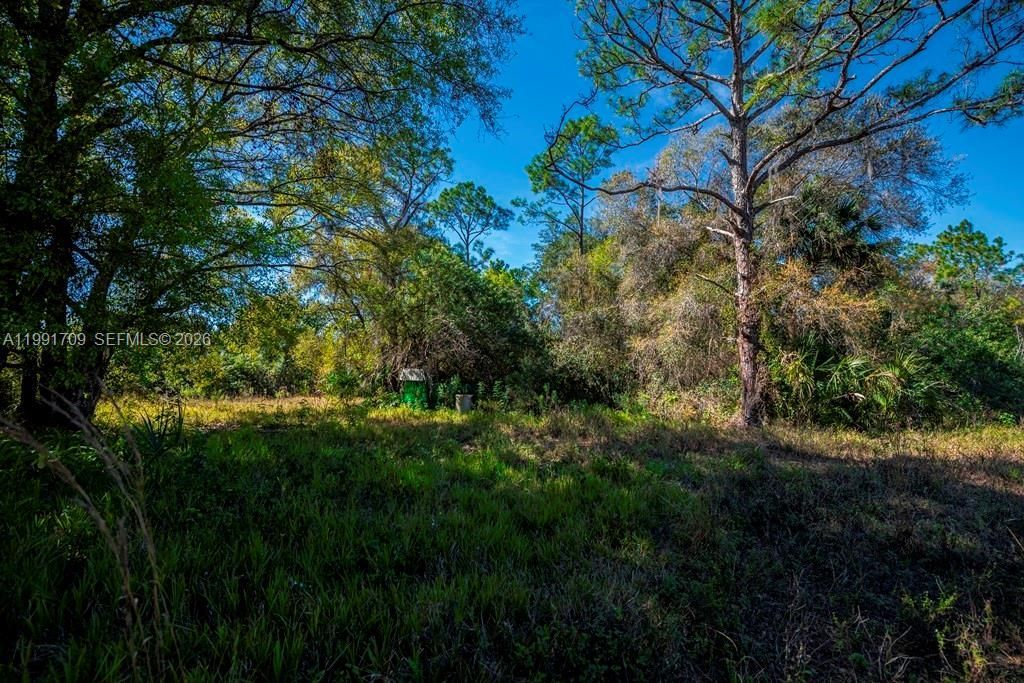 850 G Rd, La Belle, FL 33935 Photo