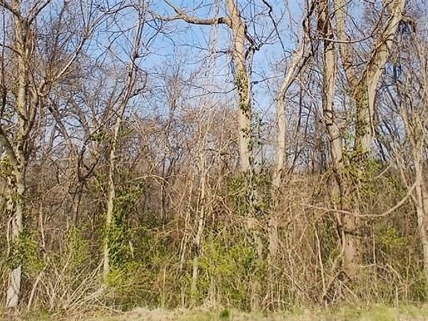 APN Briggs Street , Edwardsville, IL 62025