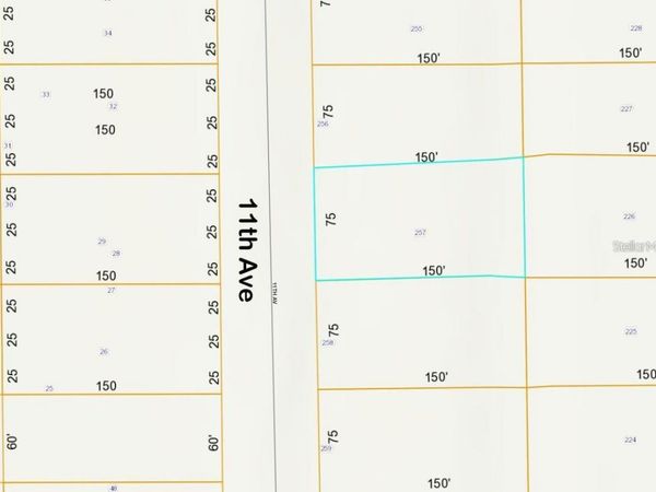 lot 257 11TH AVENUE, DELAND, FL 32724